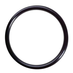 CP-OR35+701 O-RING FOR WATERGENERAL BOTTOM FILTER HOUSING CASING