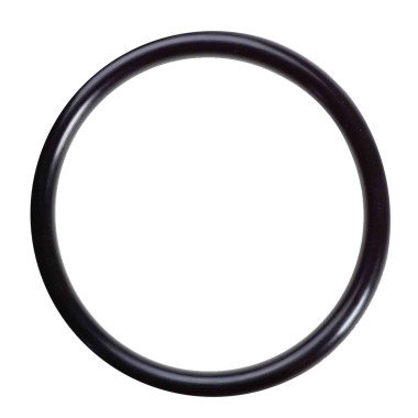  CP-KOR24, O-RING FOR KOOLERMAX  MEMBRANE FILTER HOUSING
